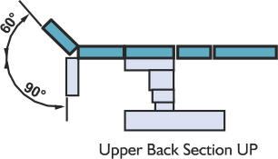 upper back section up